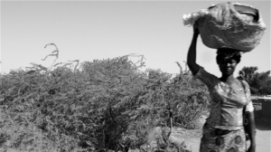 Thérèse, une psychothérapeute intrépide dans la poussière de N’djamena
